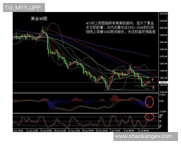 独家解析上海篮球队意识差异与战术执行的深层影响