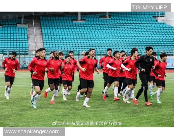 上海网球队个人能力排名创历史新高展现出色竞技水平与团队协作精神