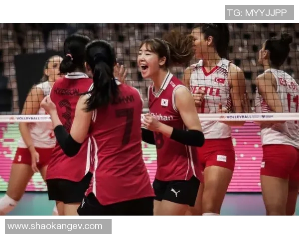 南京排球队强势领跑联赛积分榜以52分稳居第一名