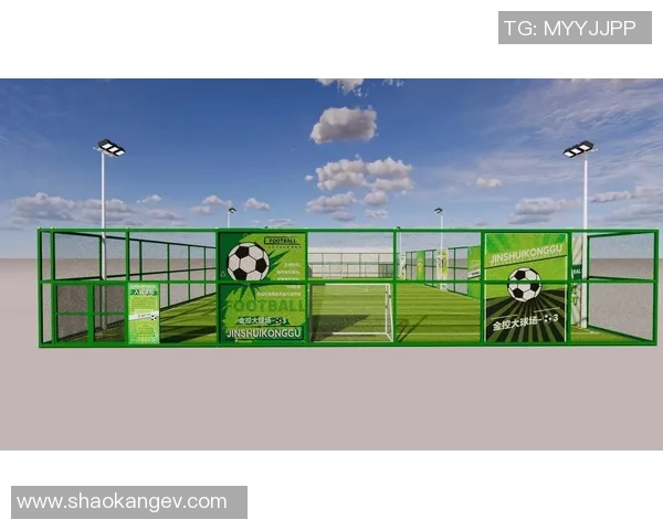 探索足球纹布的设计魅力与应用前景,打造时尚与运动的完美结合