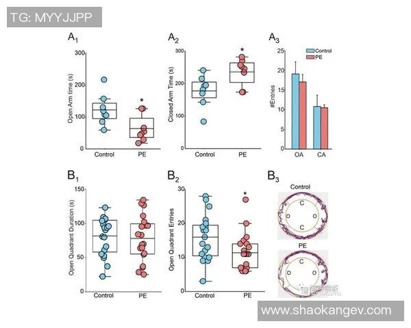 探索zm足球的魅力与发展历程，揭示其背后的故事与未来趋势