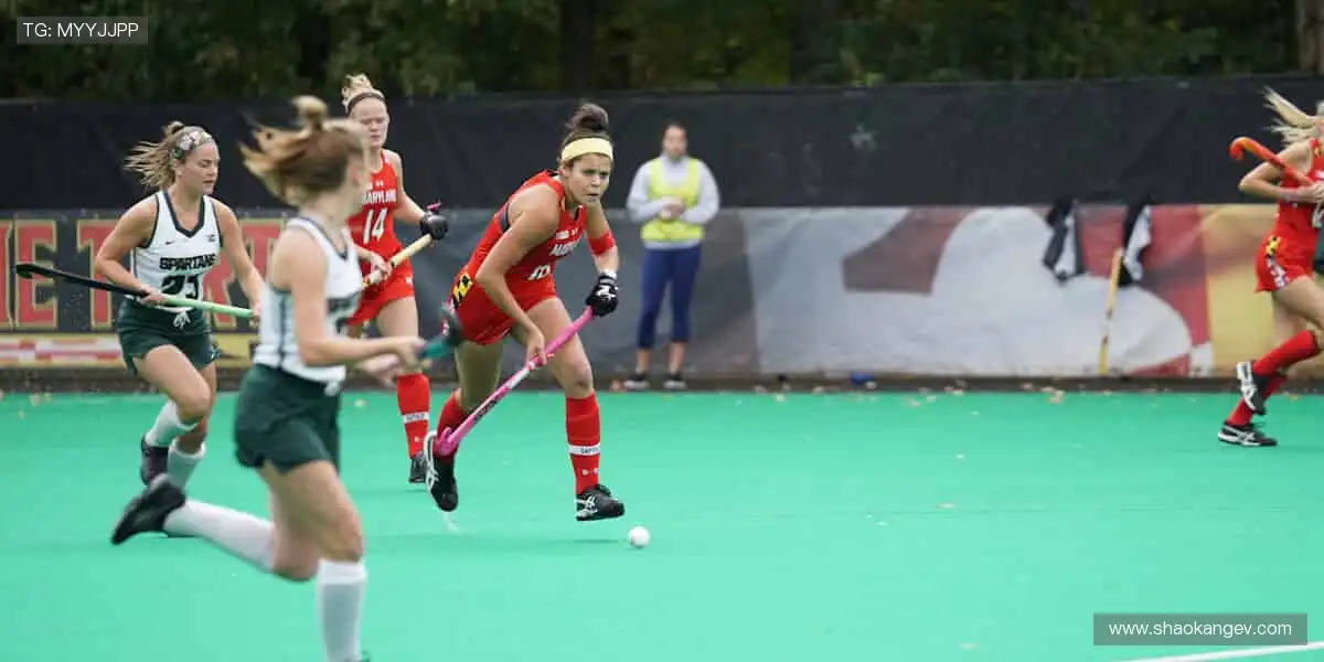 🎯精准数据,深度解析赛事背后的故事!