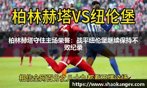 完美体育登录入口