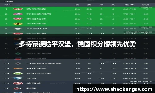 多特蒙德险平汉堡，稳固积分榜领先优势