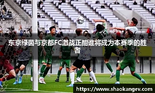 完美体育登录入口